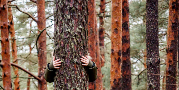 renocollective tweet media