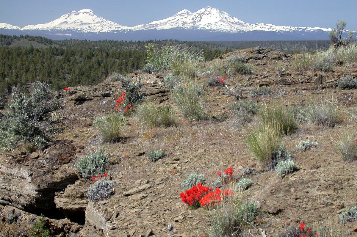 ForestServiceNW's tweet photo. "Of all the paths you take in life, make sure a few of them are dirt.”

― John Muir https://t.co/8VC1CK8KF8