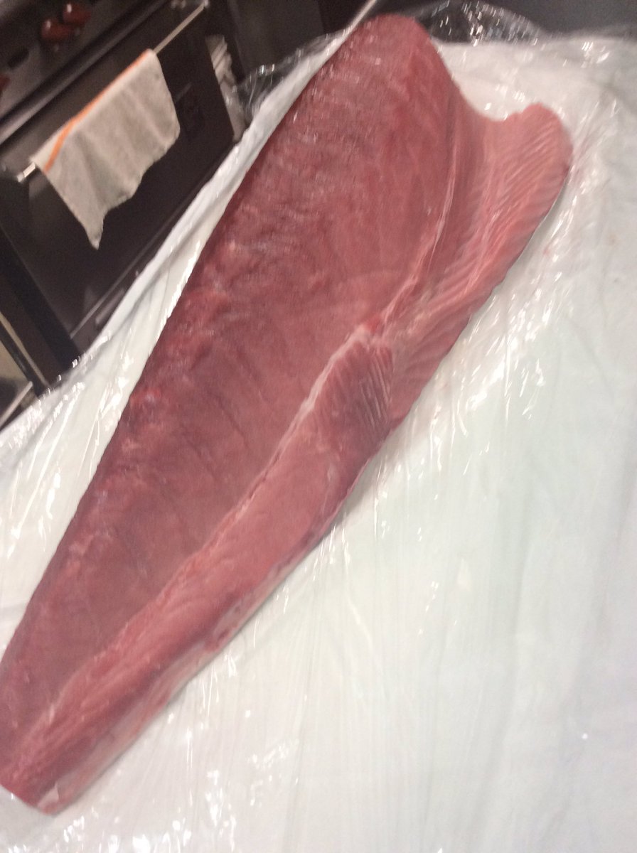 MiyaSushi's tweet photo. Got beautiful Big Eye Tuna, get some ChuToro (med fat) out of it. Branzino, Albacore, Yellowtail, Snow Crab Legs, Rock Shrimp. #miyasushi #shopvalleyvillage #sushitogo #valleyvillagesushi #sushisake #freshseafood #japanesefood https://t.co/Jbi85zIoBR