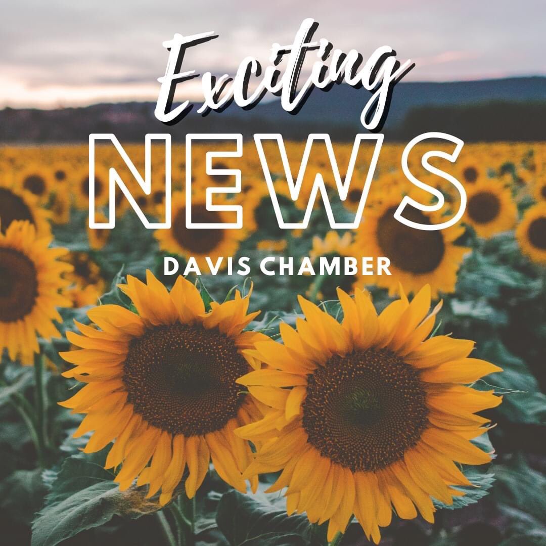 Exciting News at the Chamber! 

📣 Message from Executive Director
👀 Look Who's Back!
✅ Check Out Our New Website!
⛳️ Golf Tournament Sponsorships
🎓 Apply Now to the Chamber Scholarship!
💻 Free Virtual Session

Click Here for More Details: myemail.constantcontact.com/Exciting-News-…