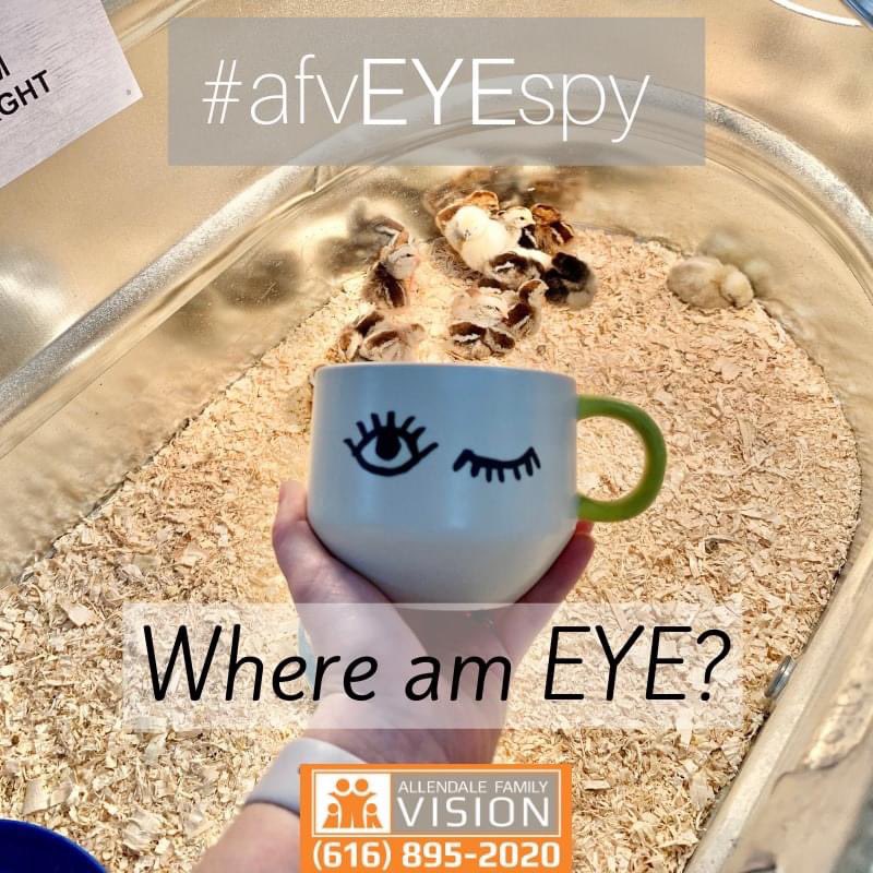 Family Vision Optical tweet media