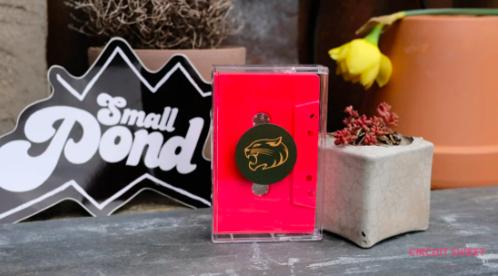 Last 3 months we've welcomed some more incredible releases &amp; merch to our shop shelves
2021 has seen the arrival of new music from @cowgirlband #DanielGodDamnByrom &amp; <a href="/Wild_Cat_Strike/">WCS</a> + a special <a href="/DowdRecords/">Dowd Records</a> x Circuit Sweet Collab Tee. 
❤
circuitsweet.bigcartel.com