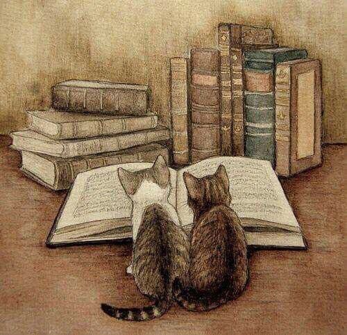 A well-chosen book saves you from everything, including yourself.