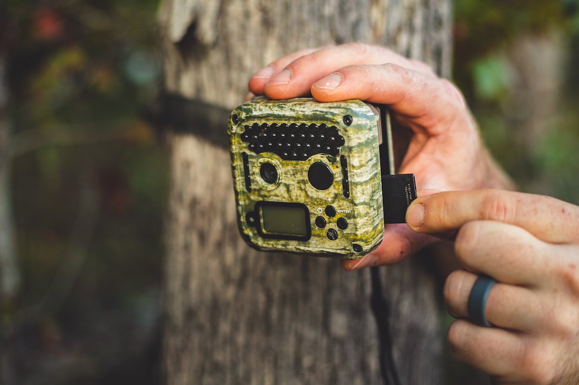 Time to check cams! What's on your cards? #WildgameInnovations #TurkeySeason