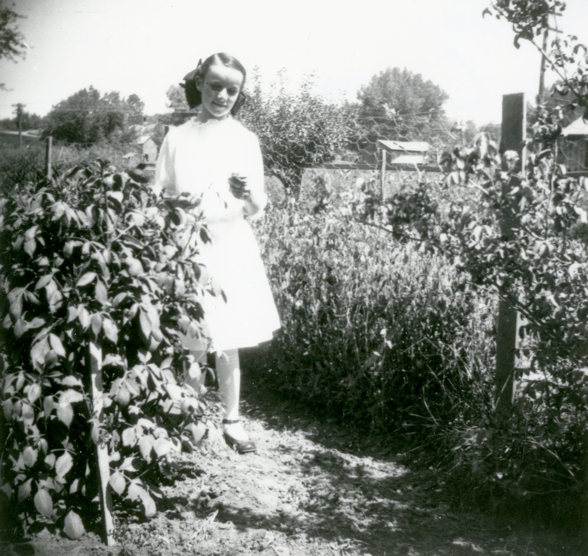 What are you growing in your garden this year? 🌱 ⁣
⁣
📷: An unidentified girl stands in a garden in South Cañon, ca. 1910. Object ID: 2019.012.086⁣
⁣
#rgrmhc #NationalGardenMonth #garden