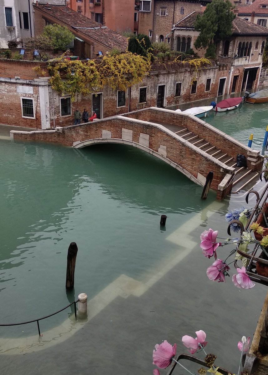AquaGranda_2's tweet photo. Siamo riusciti a creare l’archivio digitale #AquaGranda grazie al contributo di tutta la comunità di Venezia ma abbiamo ancora bisogno di aiuto per renderlo più ricco e funzionale.

Aiutaci a classificare le immagini che abbiamo raccolto ➡ https://t.co/iXIJoqclWf https://t.co/07gfCu5RSb