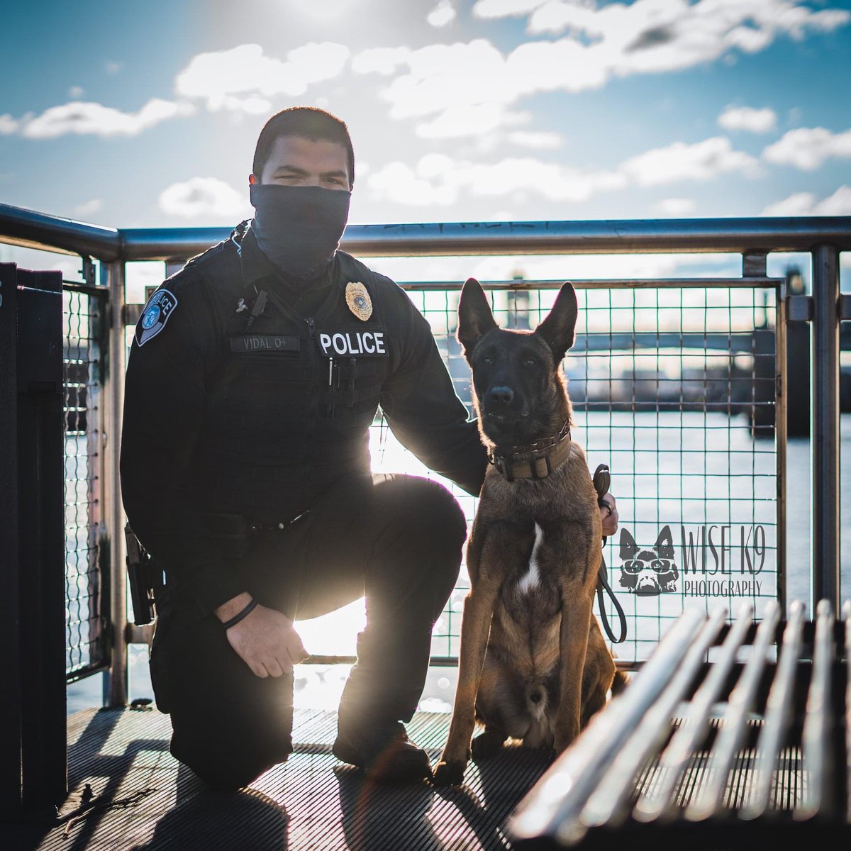 PennVetWDC's tweet photo. Congratulations to Coyote on his graduation! Coyote (Iron Sight K9s) will be joining Lake Erie College of Osteopathic Medicine (LECOM) Police Department partnered with Officer Carlos Vidal as a dual purpose police K9. This team is currently attending our Scent Detector School. https://t.co/COfDXEsjYv