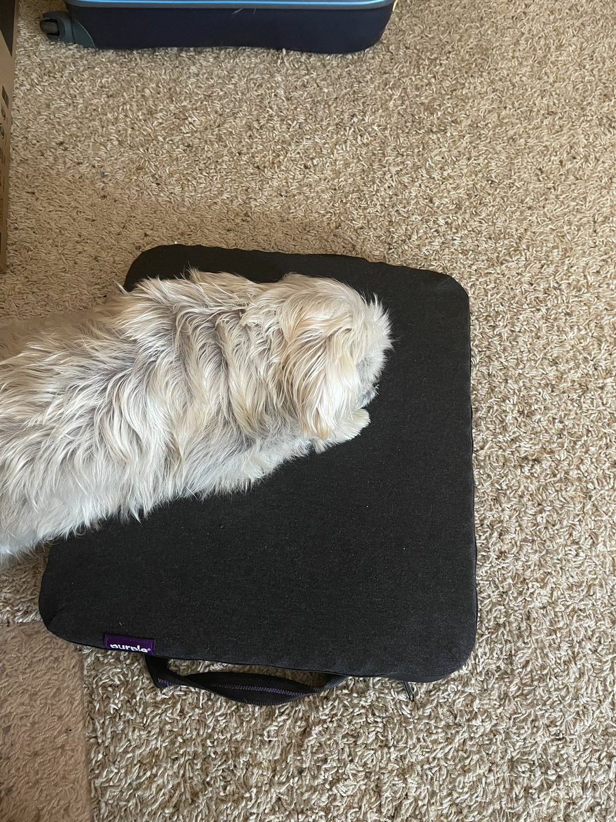 David Eby tweet media