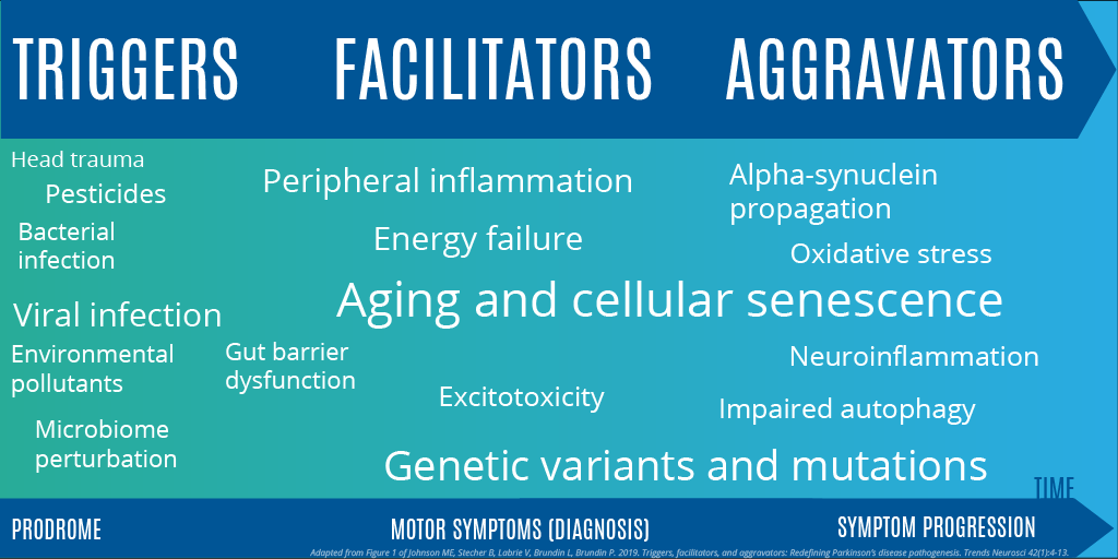 WorldPDCongress's tweet image. The role of infections &amp;amp; inflammation as potential triggers for #Parkinsons is a major (and exciting) area of interest. We believe that varying combinations of triggers, facilitators &amp;amp; aggravators propel #PD onset &amp;amp; progression. Read more here: bit.ly/3dI02dm #PDMonth
