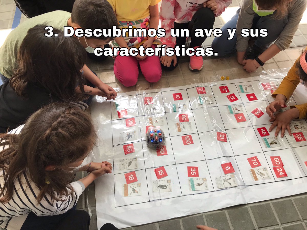 yorociologopeda's tweet photo. Repasamos las tablas de multiplicar, trabajamos la programación, orientación espacial y de paso conocemos nuevas #aves, hábitats, alimentación,... Ya identificamos muchas de nuestro entorno y nuestro objetivo son las #avesdeprimavera para #SpringAlive #BlueBoot #RobóticaEducativa https://t.co/t48UCvvU6z