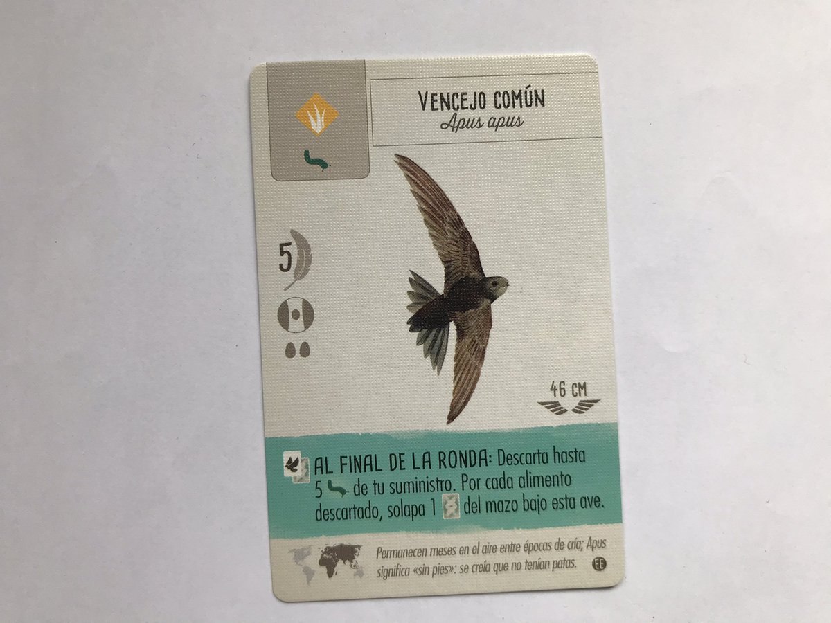 yorociologopeda's tweet photo. Repasamos las tablas de multiplicar, trabajamos la programación, orientación espacial y de paso conocemos nuevas #aves, hábitats, alimentación,... Ya identificamos muchas de nuestro entorno y nuestro objetivo son las #avesdeprimavera para #SpringAlive #BlueBoot #RobóticaEducativa https://t.co/t48UCvvU6z