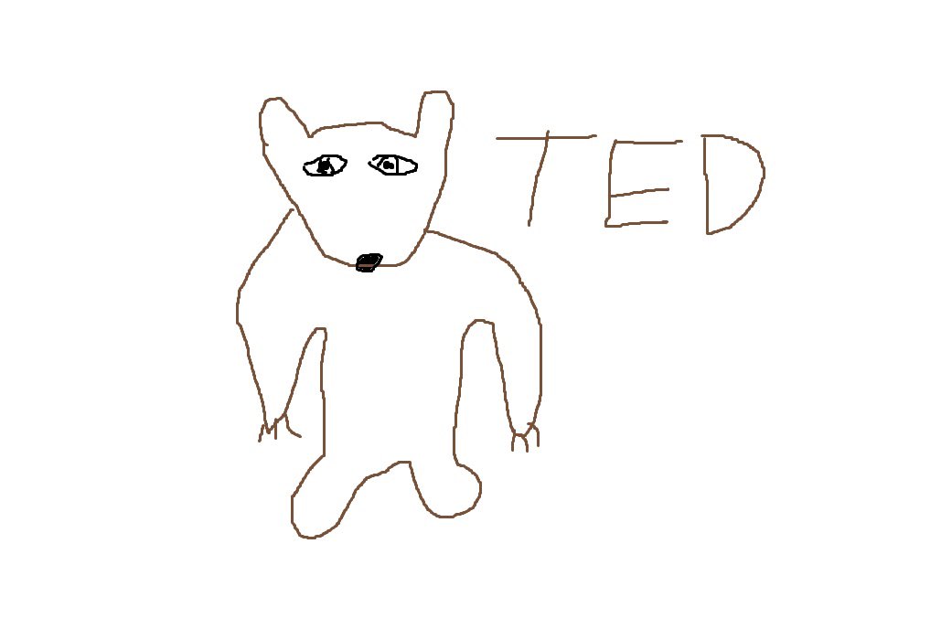 BearClaw_Esport's tweet image. Everyone this is Ted, he will be our new mascot. Please say Hello Ted to welcome him🐻😂