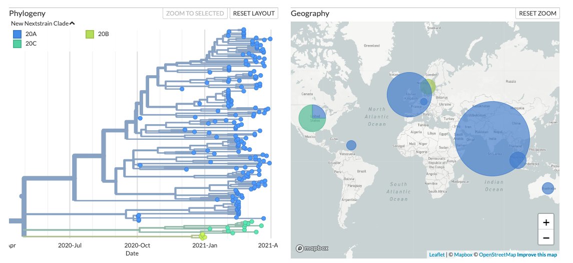 L452R+E484Q seems to be recurrently emerging in 3 different lineages. While the Indian genomes fall under Nextstrain clade 20A, the USA and Sweden genomes form separate clusters under 20C and 20B respectively @trvrb  @nextstrain  https://nextstrain.org/community/banijolly/Global-Analysis/484Q-452R?branchLabel=none&d=tree,frequencies,map&p=grid2/7