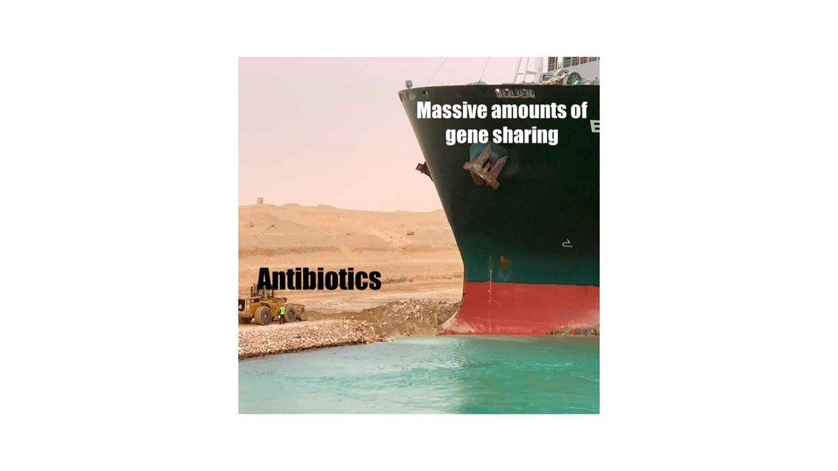 Bacteria: evil causes of infection or genius organisms trying their best to survive? 🦠

<a href="/DalOpenThink/">OpenThink</a> PhD student Jee In Kim @jeeinjeeout explains how bacteria share genes to help overcome hardships. Cool, but makes keeping up with antibiotics hard.

blogs.dal.ca/openthink/shar…