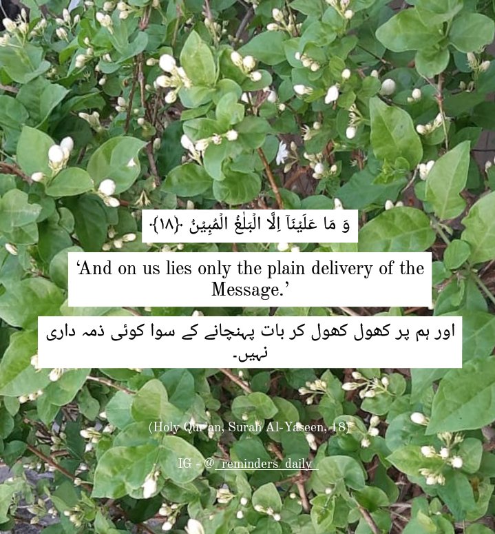 _RemindersDaily's tweet photo. وَ مَا عَلَیۡنَاۤ اِلَّا الۡبَلٰغُ الۡمُبِیۡنُ ﴿۱۸﴾
‘And on us lies only the plain delivery of the Message.’
اور ہم پر کھول کھول کر بات پہنچانے کے سوا کوئی ذمہ داری نہیں۔
#_RemindersDaily ✨ https://t.co/Icu87msOVI