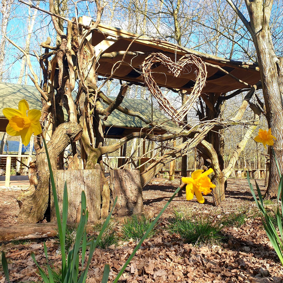 A glorious spring day in our wedding venue, the colours in the sunshine just stunning. #weddingwood #woodlandwedding #woodlandweddings #buckinghamshirewedding