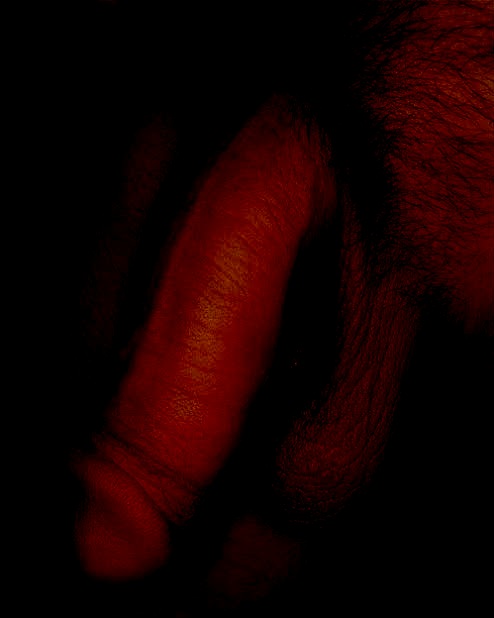 Carl💦 tweet media