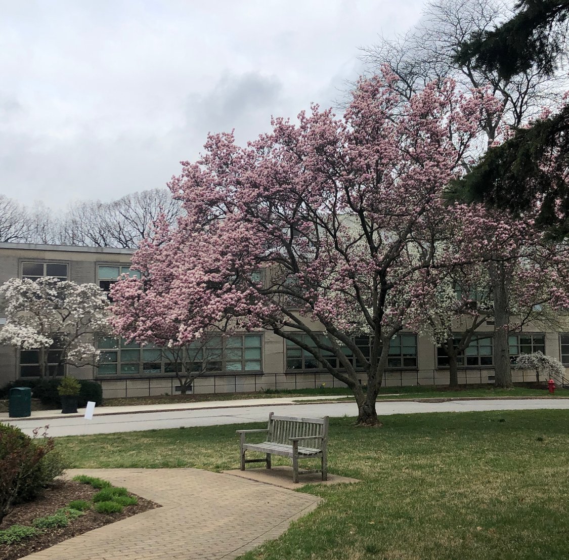 SCMOQ's tweet photo. Spring has sprung at Cathedral! We hope our community is enjoying spring break safely. You are in our prayers for a rejuvenating week! https://t.co/HqondXfsa0