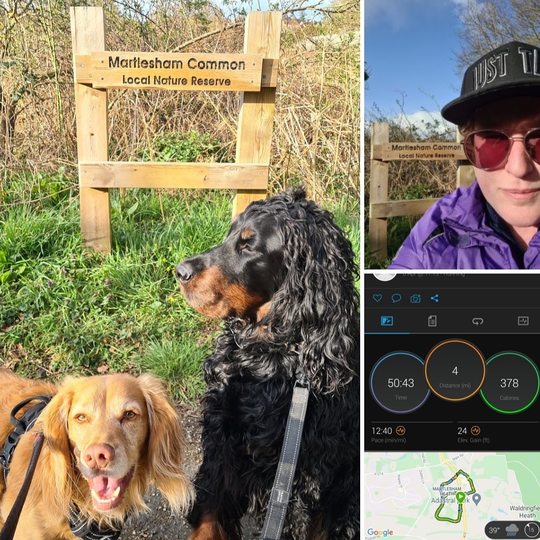 runnicnacrun's tweet photo. Great running weather tonight. Fab four miles with my boys🏃🏼‍♀️🐕🐕❤

#postworkrun #run #runningwithmydogs #trainingwithmydogs #runningcommunity  #runningtokeepfit #runningismytherapy #lifeaftercancer #runnicanacrun https://t.co/jF3oeuMBLl
