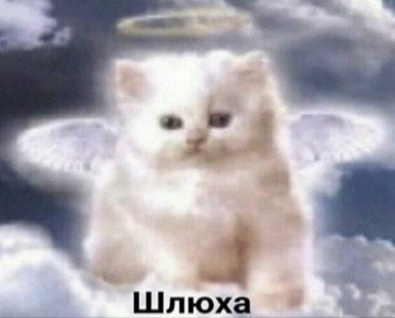 пеппа (@thegloomyoink) on Twitter photo 