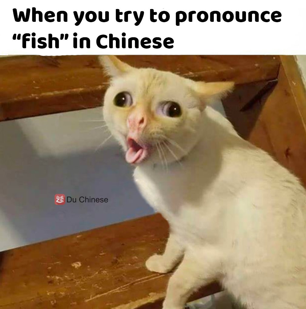 Du Chinese tweet media