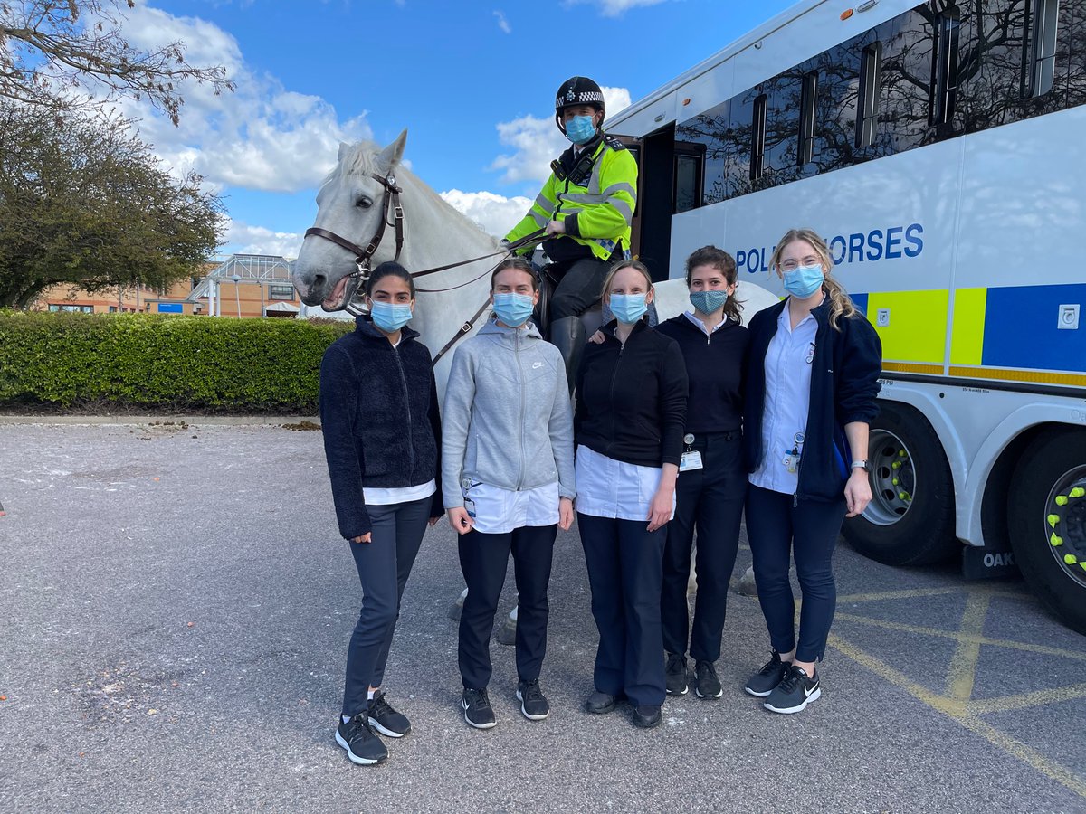 MichelleS tweet media