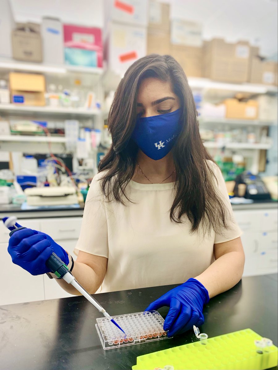 SHasani410's tweet photo. I am honored to be a recipient of the NCI Ruth L. Kirschstein NRSA F31 Fellowship for my Doctoral Research in the Gao Lab! It’s very humbling to be recognized as a promising scientist, especially during National Graduate Student Appreciation Week! #MarkeyCancerCenter #STEMinist https://t.co/2BWzL7dLiy
