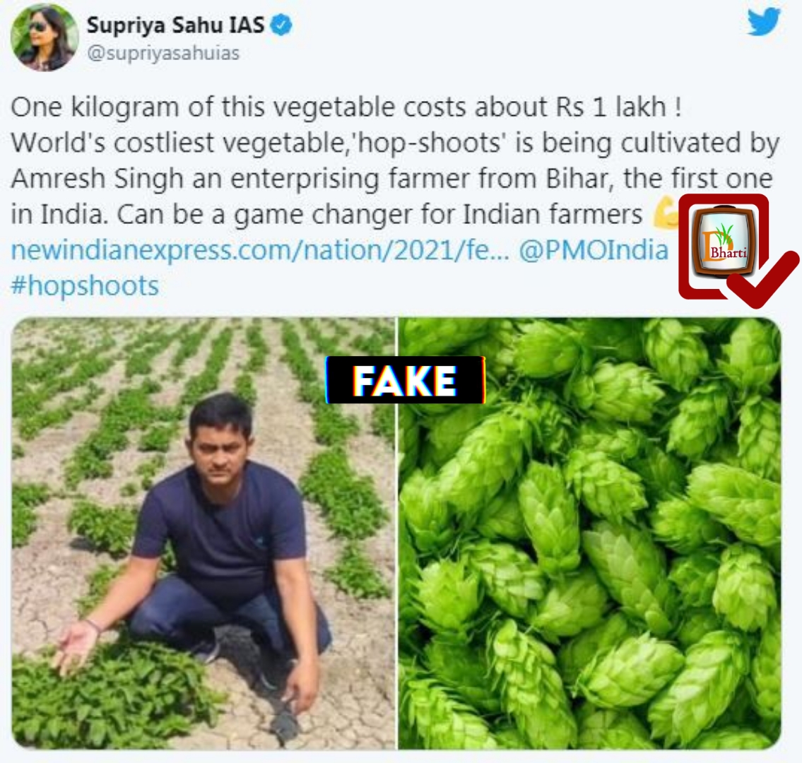 darpan_today's tweet photo. Claim: A #Bihar #youth grows hop-shoots which costs Rs 1 lakh per kilogram.
#Truth: The story is a #hoax. No such crops being grown at the location. #AmreshSingh has grown #black #Rice and wheat in the past and not hop shoots.
#Bihar @PIB_Patna @TourismBiharGov @supriyasahuias https://t.co/f0z5mAUMg6