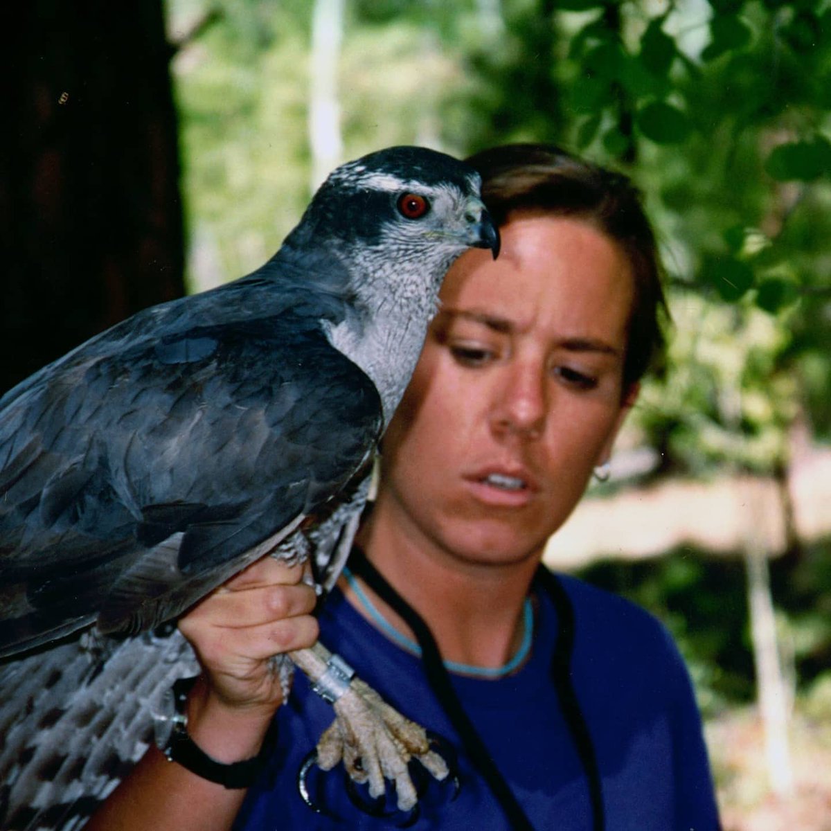 Tap Talks Corvallis tweet media