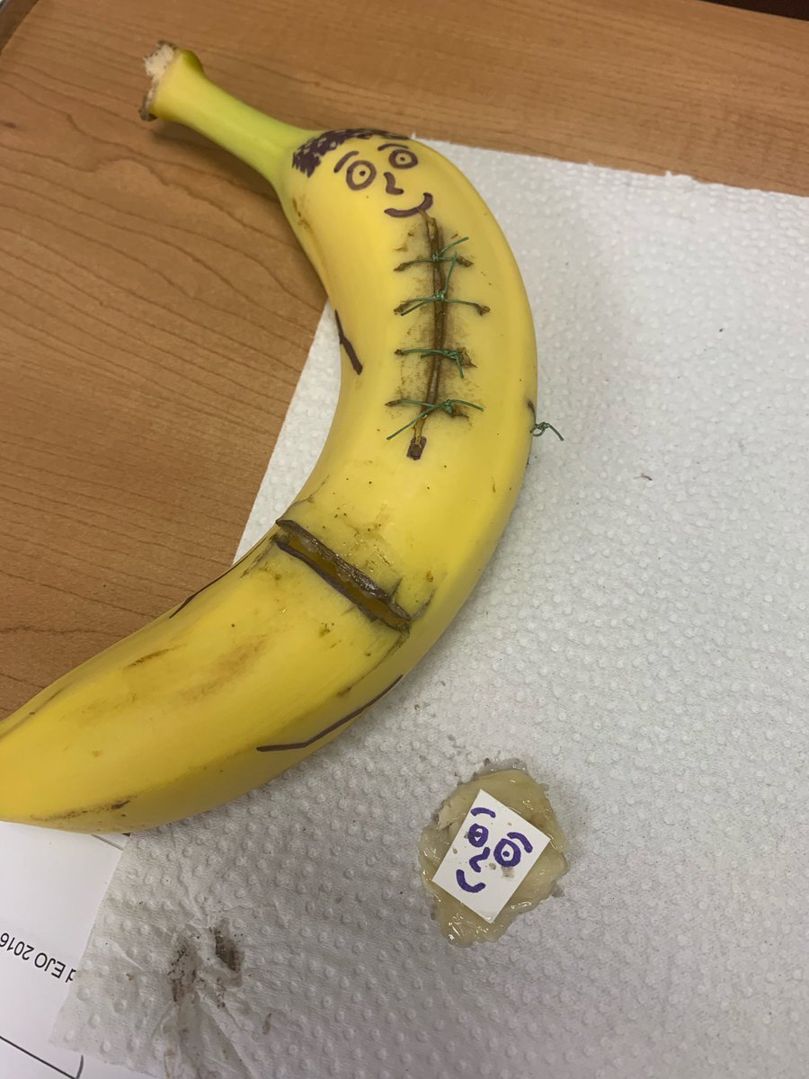 Plymouth Harbor Academy tweet media