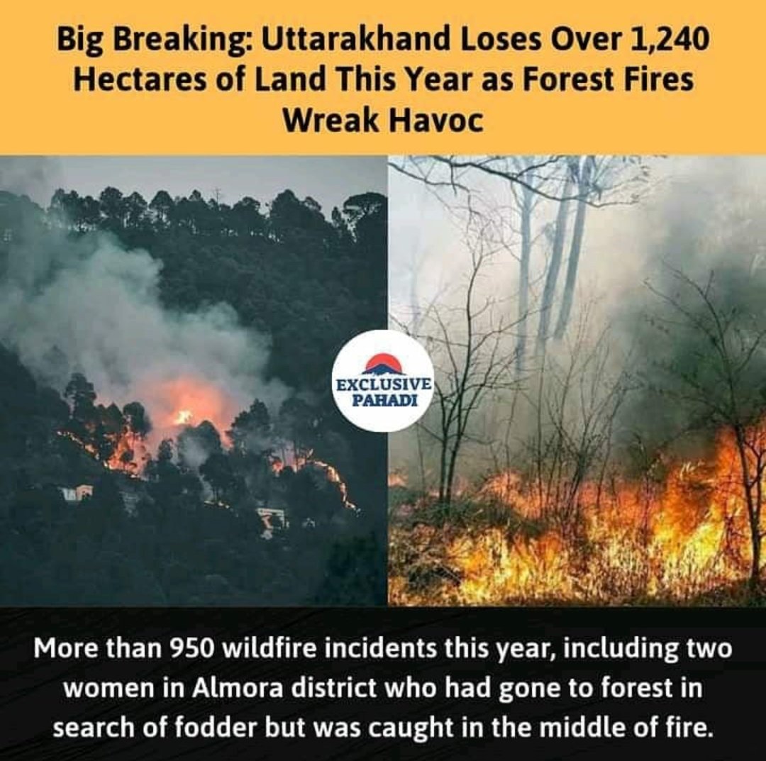 Pahads are buring in Uttarakhand and State Government is busy on Politics over western culture in Dehradun. #Bushfires #burninguttarakhand #wildfires #wildlifeloss #buringforest @BJP4India @bjputtarakhand @TIRATHSRAWAT @tsrawatbjp @PMOIndia @AmitShah @myogiadityanath @ndtv
