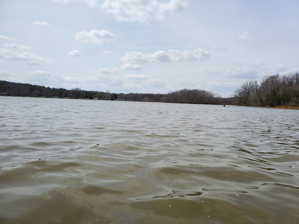 APMACK7's tweet photo. Spring has sprung at the lake ...kayaking https://t.co/GA2Fw9h6bo