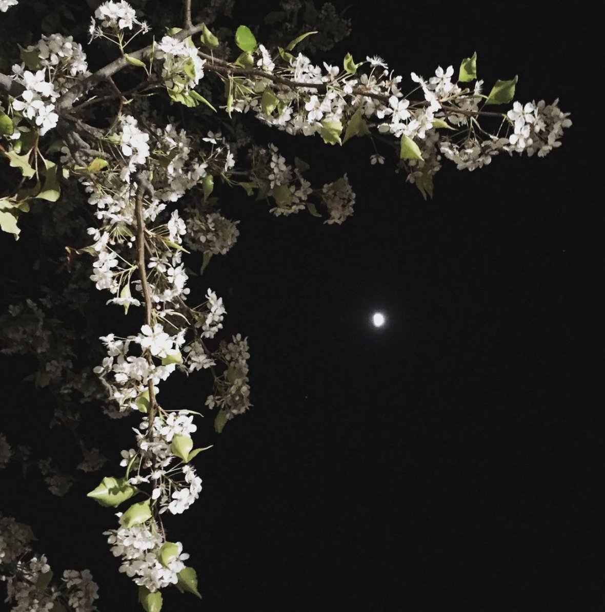 LMU Center for Religion and Spirituality tweet media