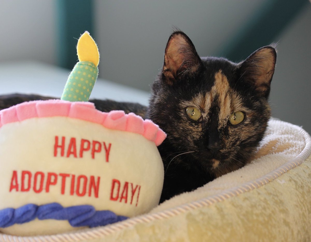 Henrietta was adopted today! ❤️