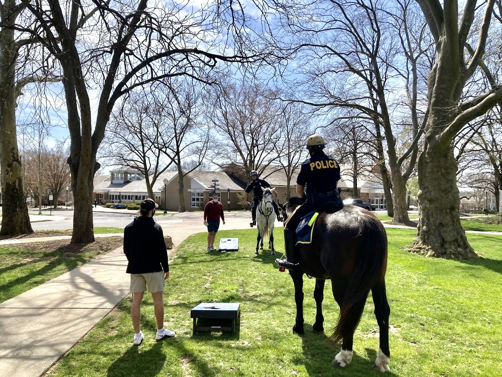 MoravianU's tweet photo. Stop horsing around - said no one!

📸 Grey and Asa from the Bethlehem Mounted Police Department enjoyed a quick game of cornhole outside the HUB today 👋 https://t.co/KuOMgBaLHO