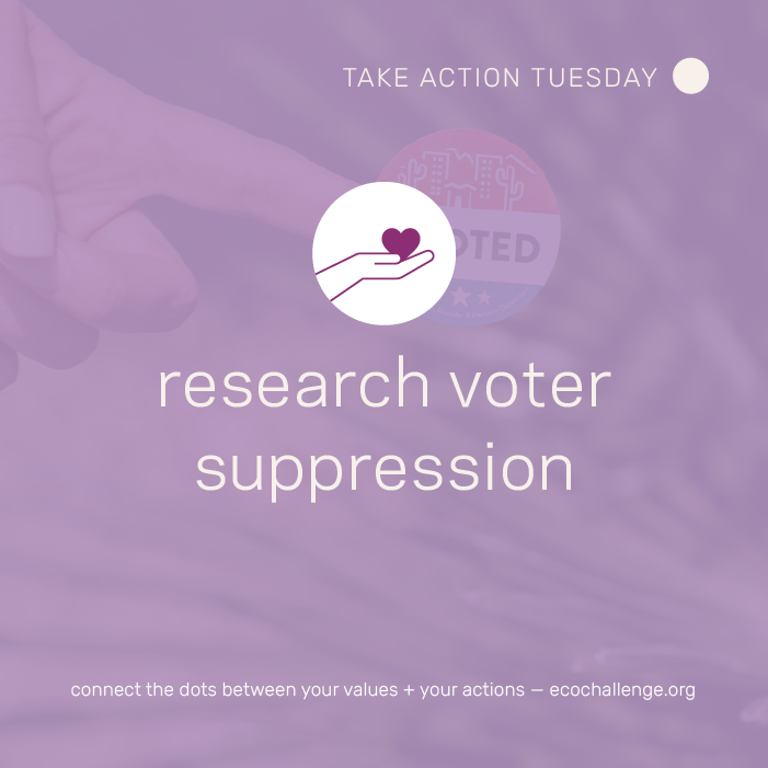 ecochallengeorg's tweet photo. Voting is a fundamental right, but there are folks who face unjust barriers to exercise their right to vote. Today, take time to learn more about voter suppression, and how the latest legislation will impact our communities. #ProtectVoting #EnvironmentalJustice #TakeActionTuesday https://t.co/Y9bd6N0j6y