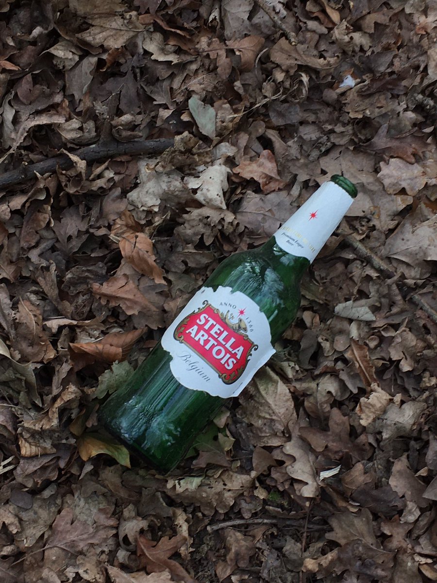 BredeEA's tweet photo. Some photos from another recent litter pick. There were especially a lot of takeaway cups, bottles and plastic food containers on Brede Hill, dropped by passing cars- please take your rubbish home rather than spoiling the paths and countryside! https://t.co/juP5LF4y8k