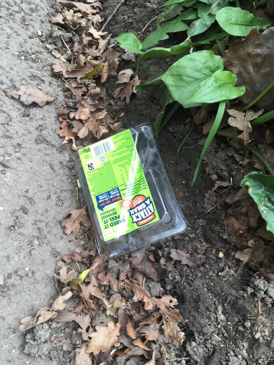 BredeEA's tweet photo. Some photos from another recent litter pick. There were especially a lot of takeaway cups, bottles and plastic food containers on Brede Hill, dropped by passing cars- please take your rubbish home rather than spoiling the paths and countryside! https://t.co/juP5LF4y8k