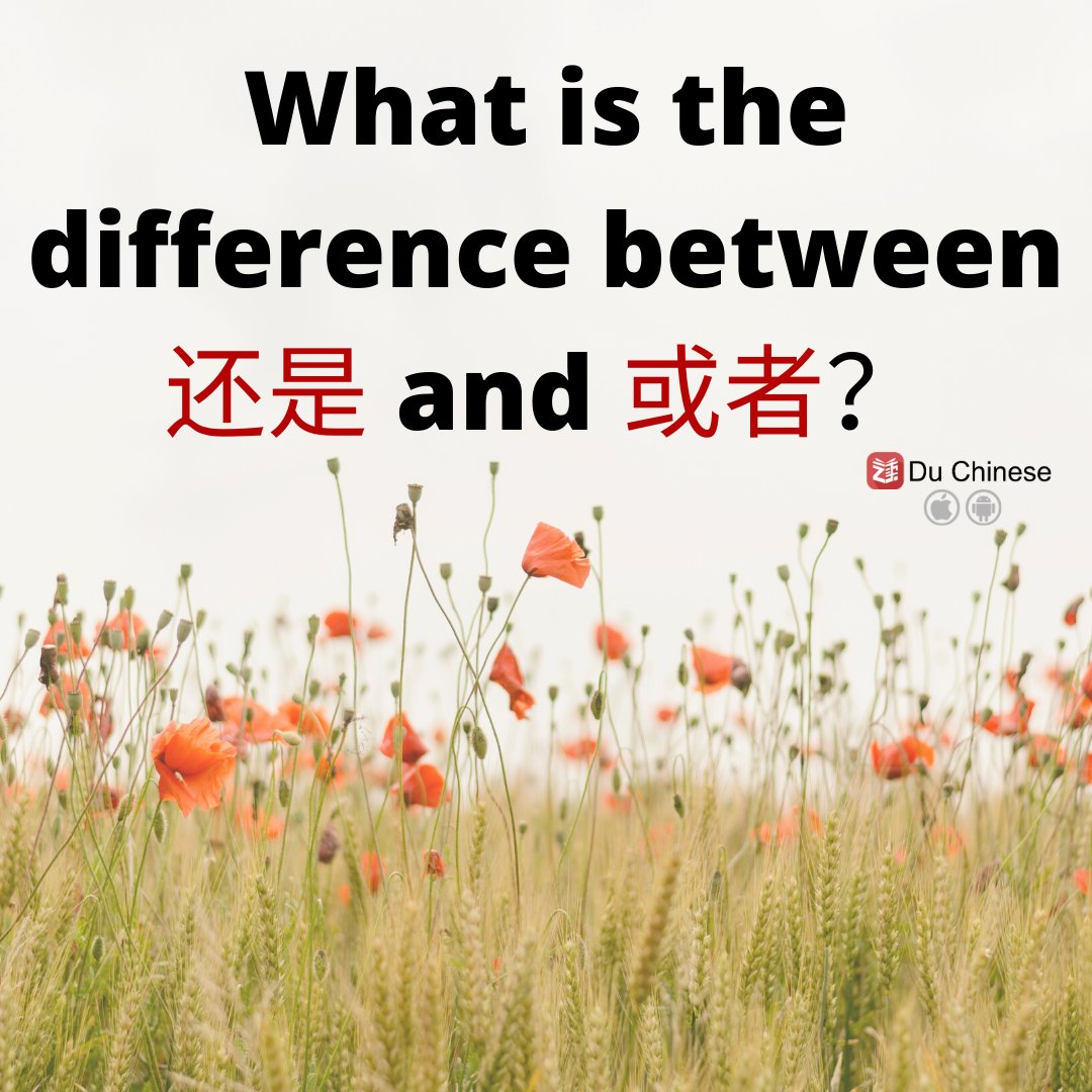 Du Chinese tweet media