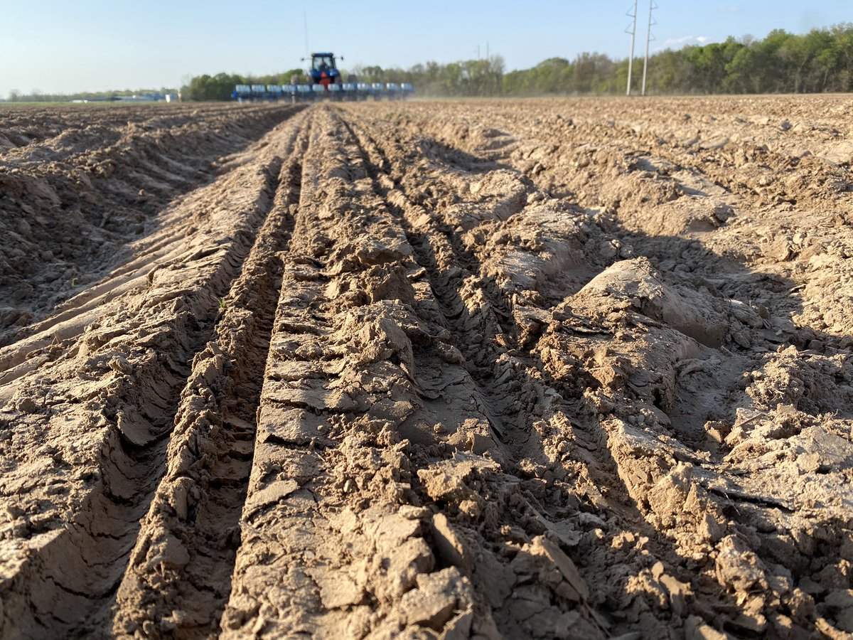 JohnDFarabough's tweet photo. Planted Desha Co Hybrid Corn Variety trials last night. Planting season 2021 has kicked off full speed ahead. #corn #plant21 #deltasunset @AR_Feedgrains @AgWriterArk https://t.co/Ywm23vd2Zl