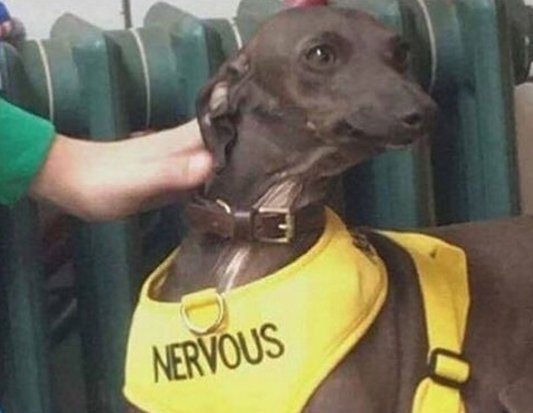 MethadosBackup's tweet photo. @scruffythedeer I'm scared to ask what that is https://t.co/onHKOIXDbf