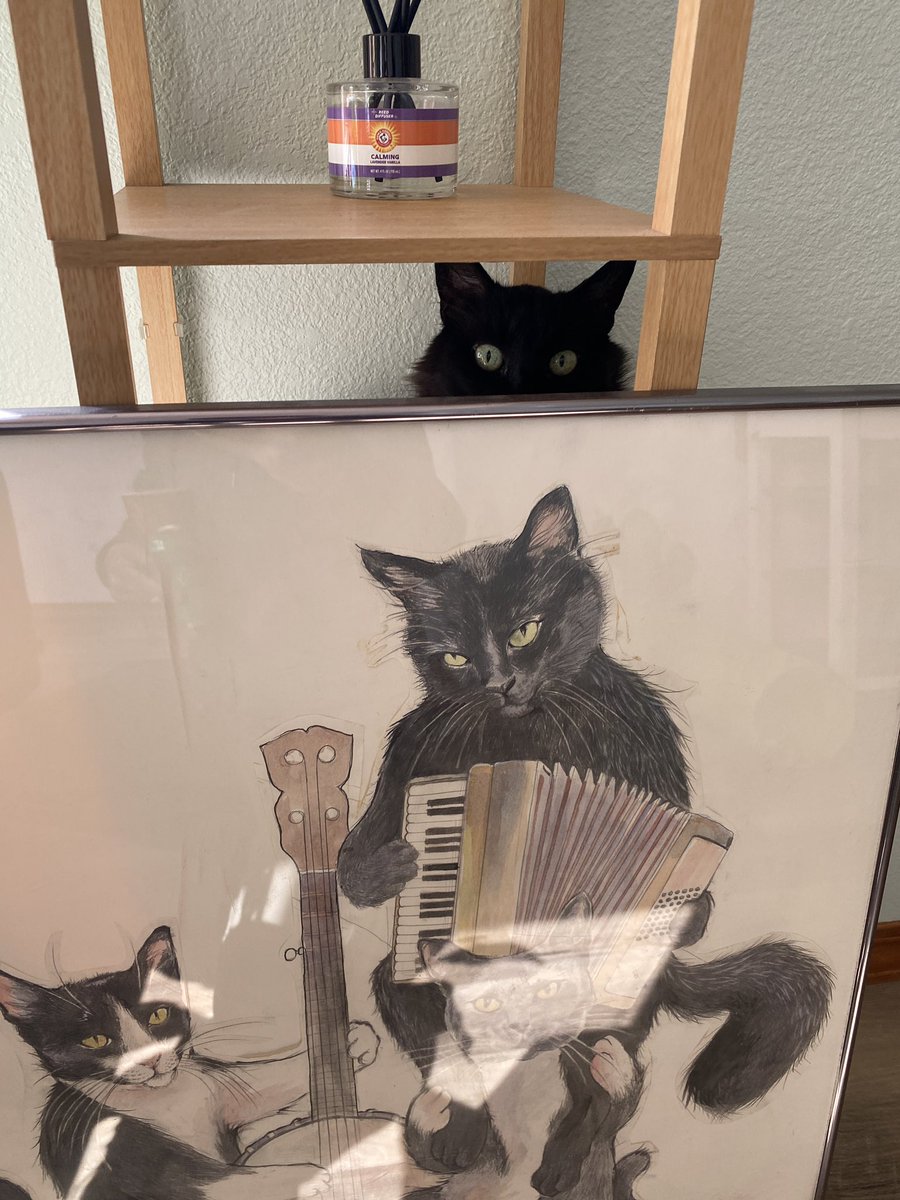 Eli Duke tweet media