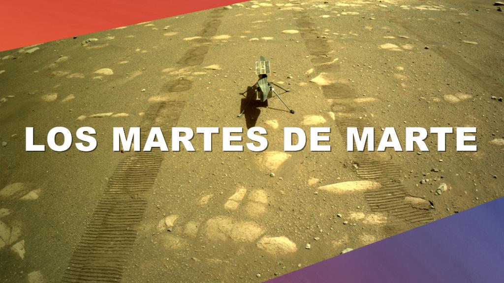 ¡Es martes... de Marte! El helicóptero Ingenuity se posó sobre la superficie marciana. El ingeniero Elio Morillo explica cómo el equipo está preparando a #MarsHelicopter para su vuelo histórico, el primero en otro planeta. ¡Y más!
#JuntosPerseveramos
📺 go.nasa.gov/31ShPYg