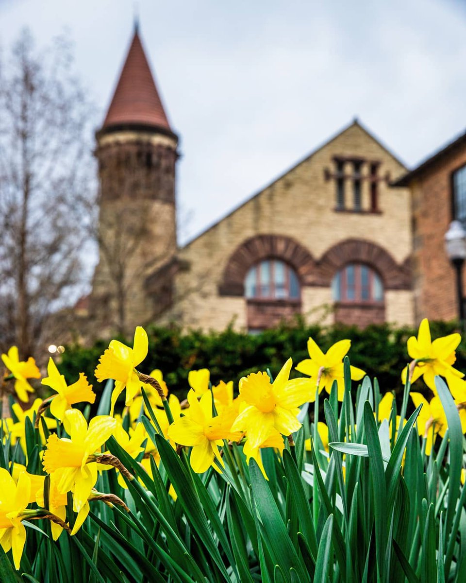 OhioState's tweet photo. A moment of appreciation for springtime on campus. 😍🌼

📸: @buckeyes_photo (IG) https://t.co/99jPtHfeGy