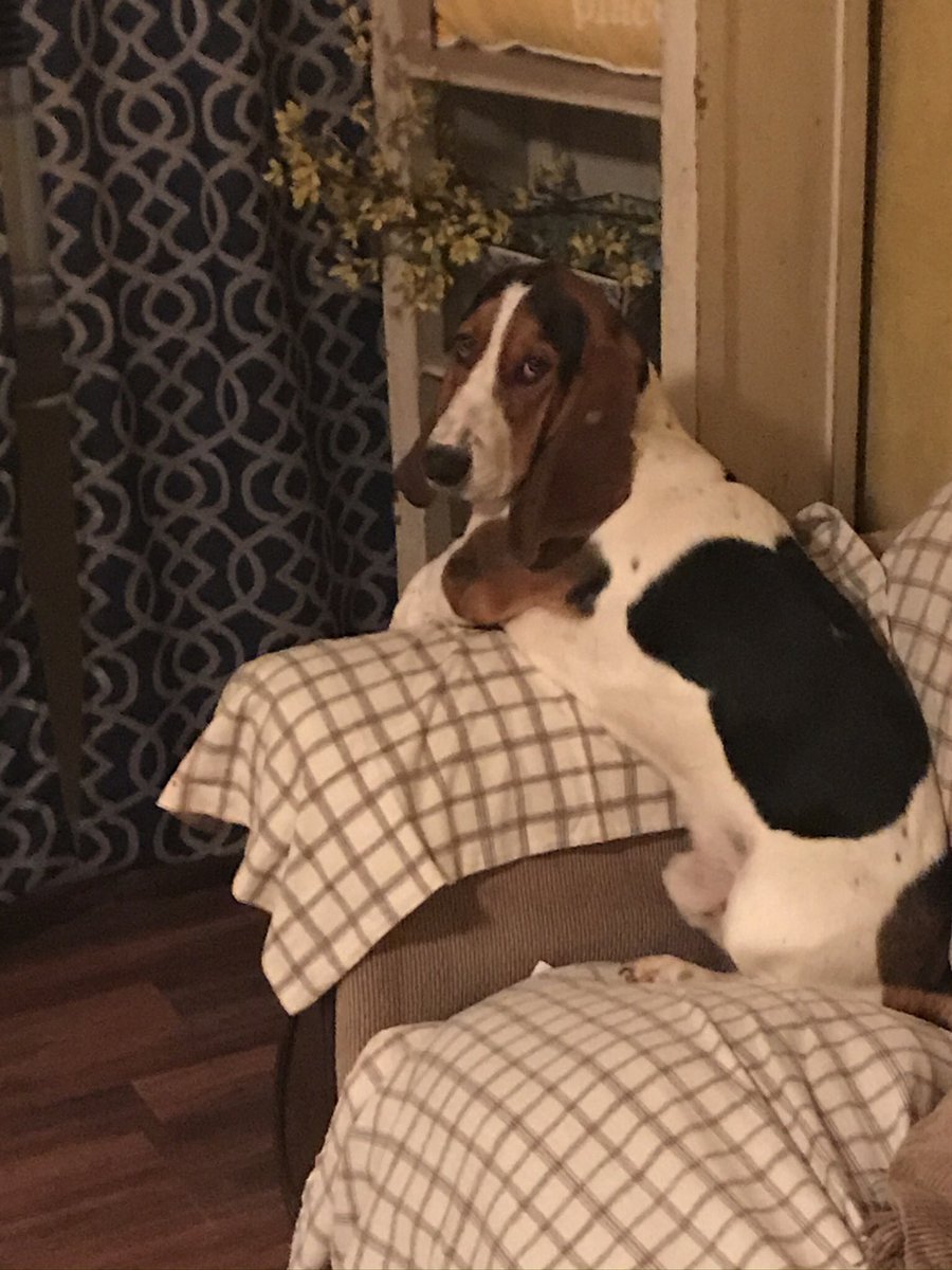 Pig Pen.. my Baby boy