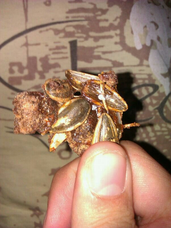 ceciarmy's tweet image. Los mayores placeres de la vida