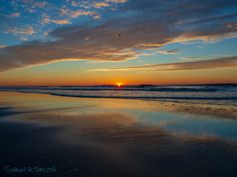 ShaunoftheSmith's tweet photo. Wave, sun and seagull.
#ventnorcity #sunrise #ventnorpier #waves #ocean #dawn #dawnpatrol #southjersey #newjersey #southjerseyisbeautiful #newjerseyisbeautiful #njisbeautiful #olympuspen #olympusphotography #shaunrsmith #onlyinnewjersey #allthingsnj #woodsandwaves https://t.co/DmLBX75DpD