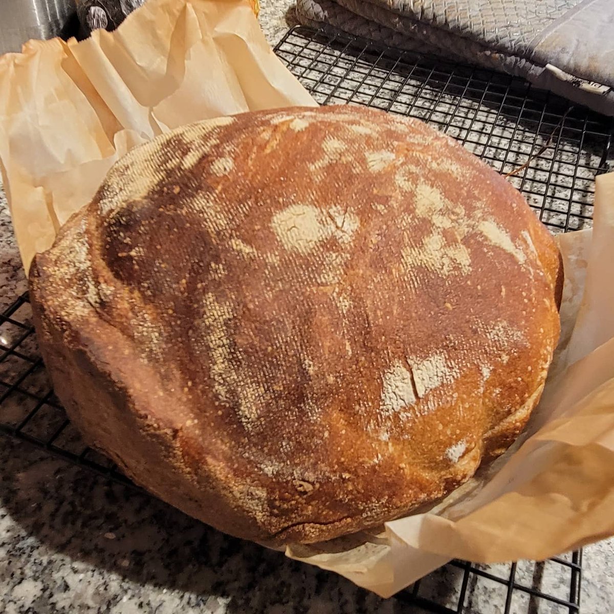 BbBroomfield's tweet photo. Well, they can't all be winners... 🤪
Today's Overnight 40% Whole Wheat Bread turned out with a shape only a mother could love. But at least the crumb is good, and it tastes great!
#baking #bakinglife #bakingbread #wholewheatbread #fwsy #flourwatersaltyeast #practicemakesperfect https://t.co/pMxjvCZf0w