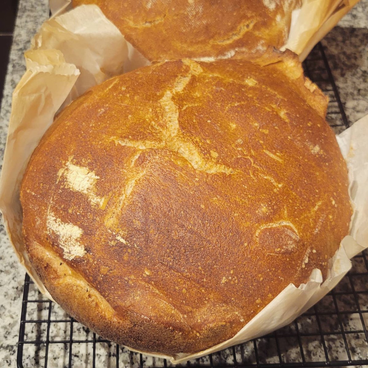 BbBroomfield's tweet photo. Well, they can't all be winners... 🤪
Today's Overnight 40% Whole Wheat Bread turned out with a shape only a mother could love. But at least the crumb is good, and it tastes great!
#baking #bakinglife #bakingbread #wholewheatbread #fwsy #flourwatersaltyeast #practicemakesperfect https://t.co/pMxjvCZf0w