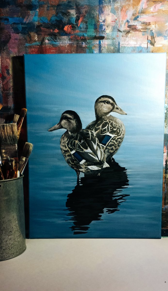 Some ducks from today 💙